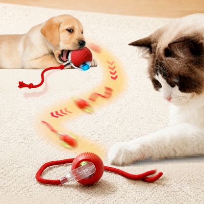 犬猫用自動ころころボール