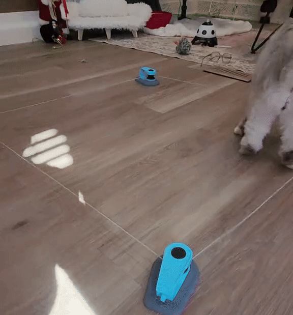 キャットランナー｜猫用エクササイズおもちゃ